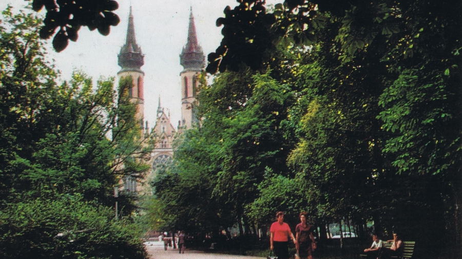 Park Kościuszki 3