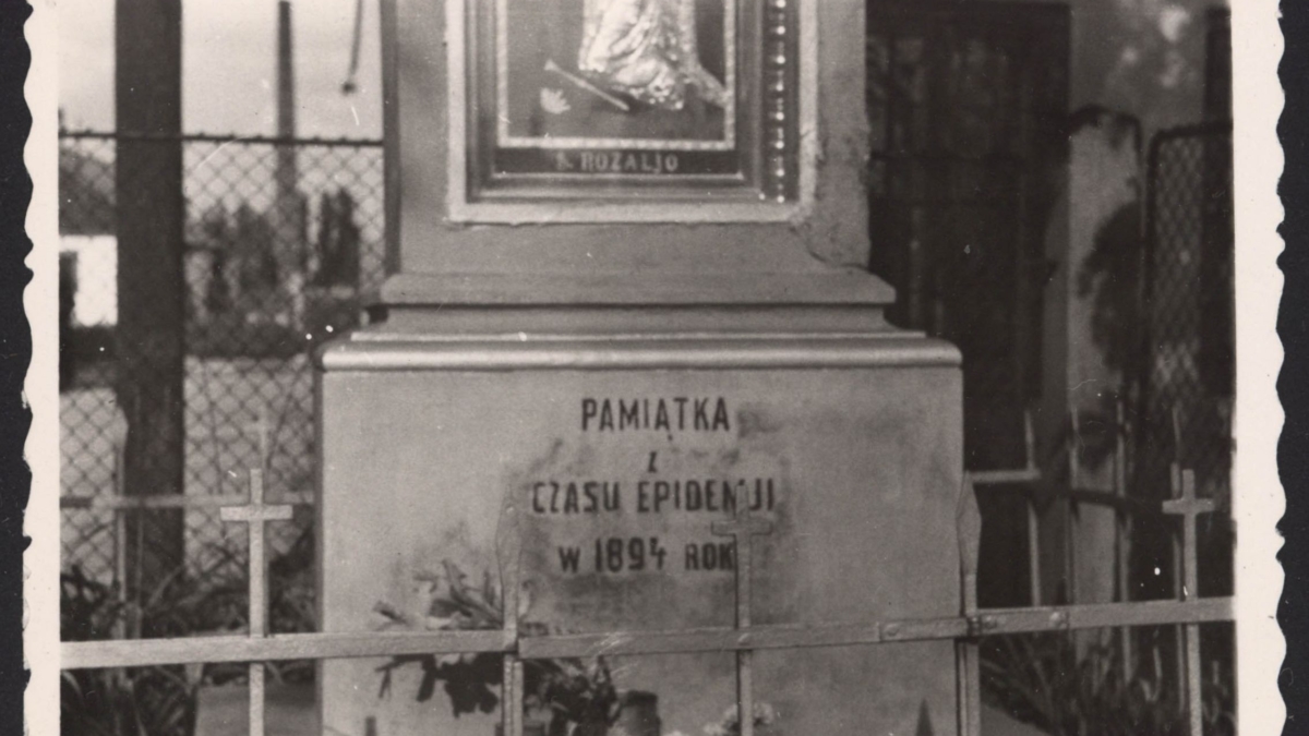 Scan2Net Scanner Output